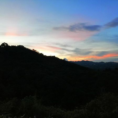 Hotel Glamping La Montana Sagrada à Medellín Extérieur photo
